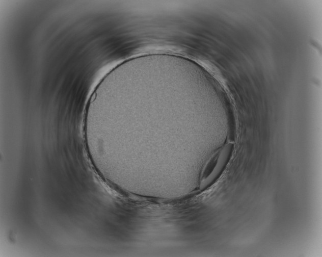 X0000096480912200802211211