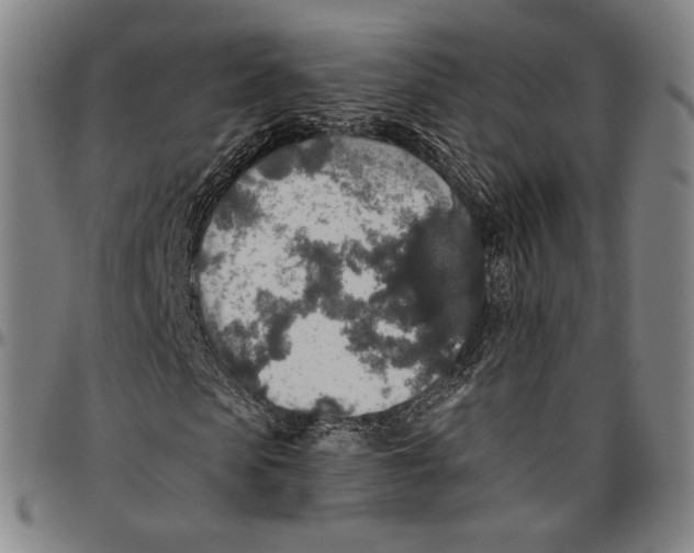 X0000096480913200802211210