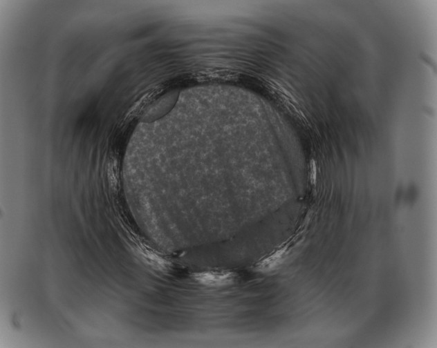 X0000096480915200802211210