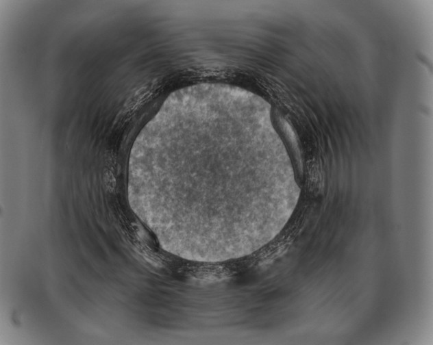 X0000096480916200802211210