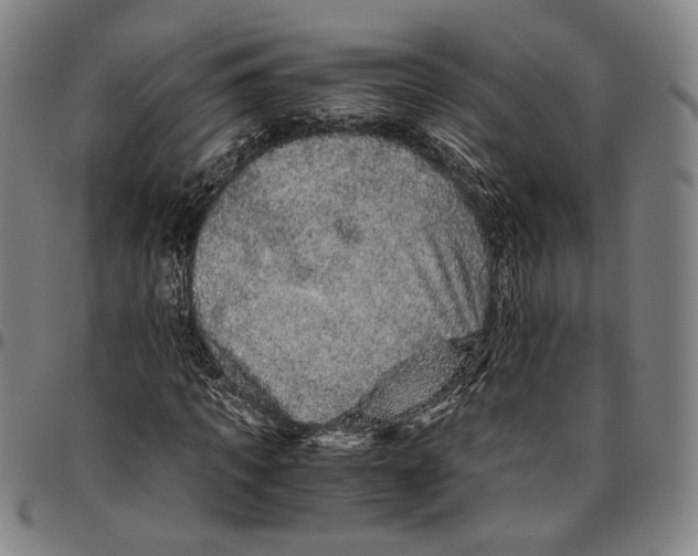 X0000096480917200802211210
