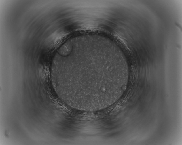 X0000096480918200802211210