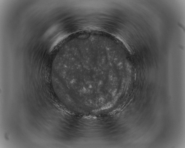 X0000096480919200802211210