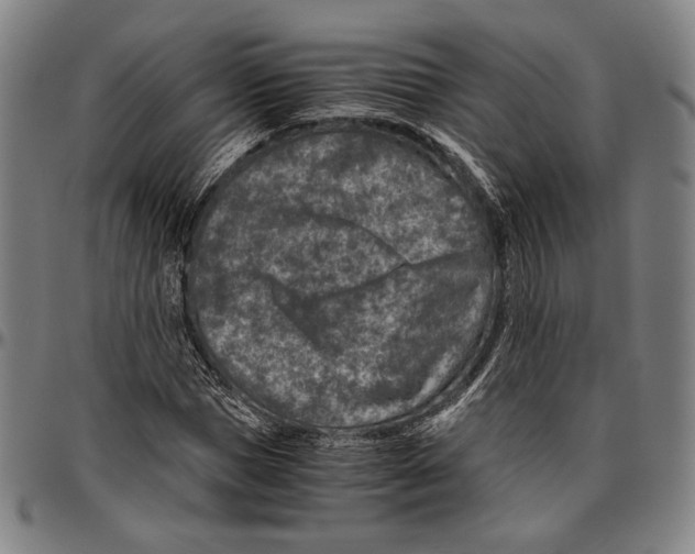 X0000096480921200802211210