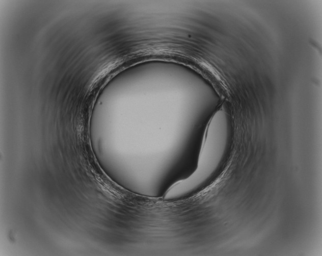 X0000096480922200802211210