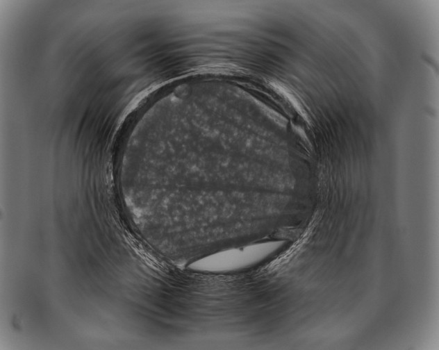 X0000096480923200802211210
