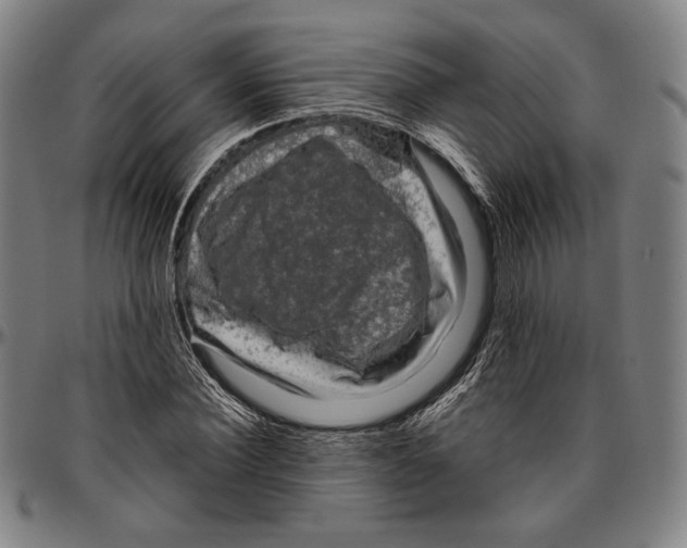 X0000096480924200802211210