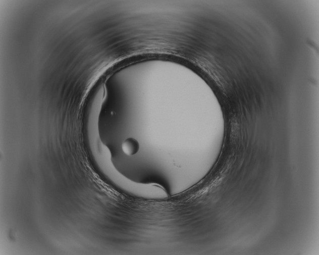X0000096480926200802211211