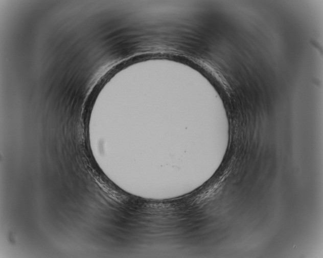 X0000096480927200802211211