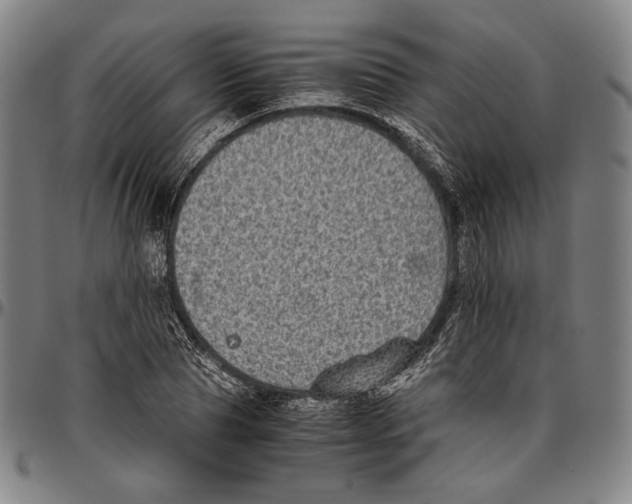X0000096480929200802211211
