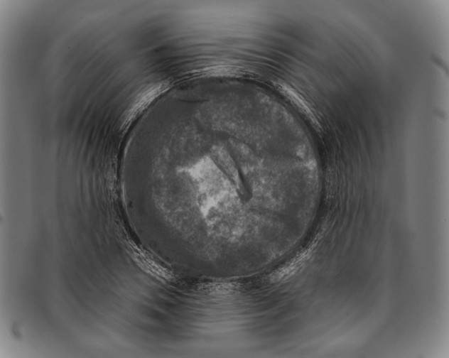 X0000096480930200802211211