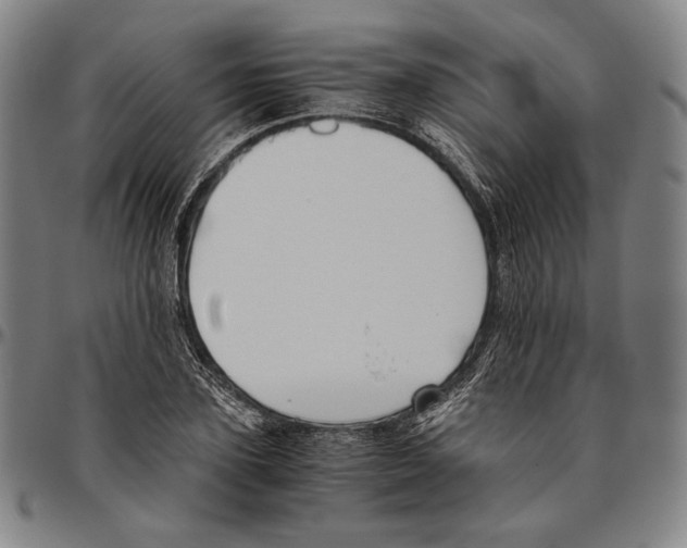 X0000096480931200802211211