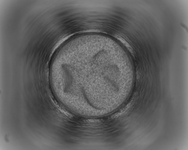X0000096480933200802211211