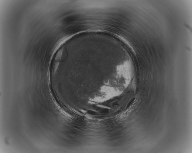 X0000096480935200802211211
