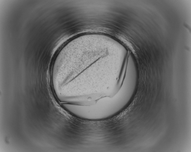 X0000096480936200802211211