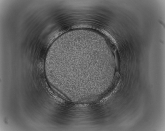 X0000096480937200802211211