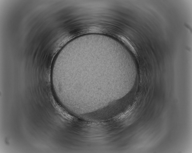 X0000096480938200802211211