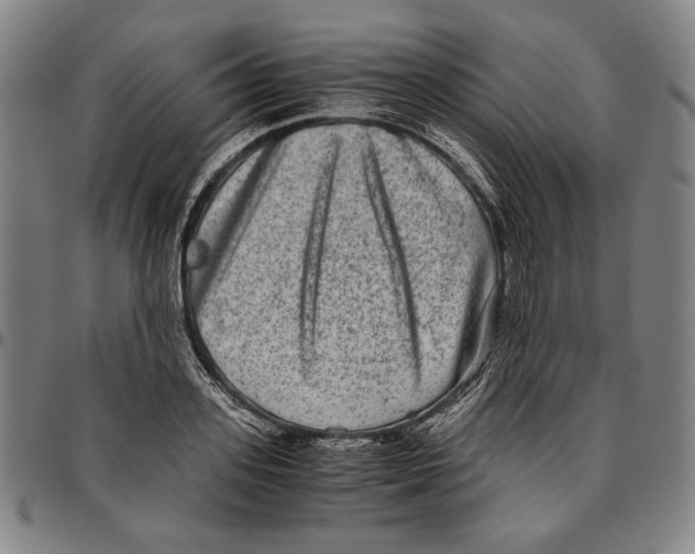 X0000096480939200802211211