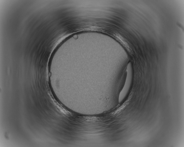 X0000096480940200802211211