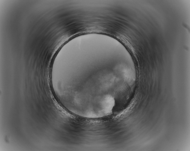 X0000096480941200802211211
