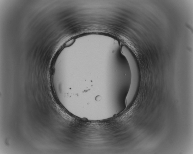 X0000096480942200802211211