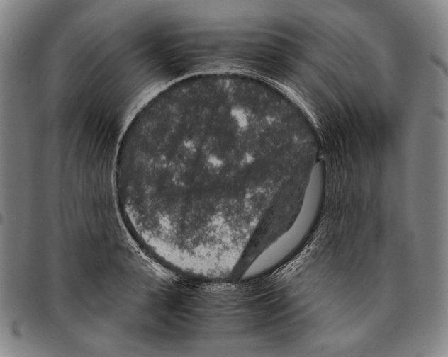 X0000096480943200802211211