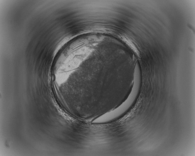 X0000096480944200802211211