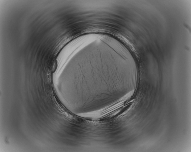 X0000096480945200802211211