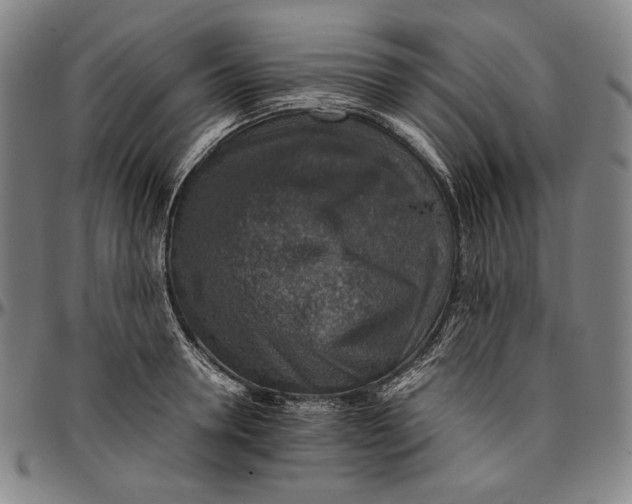 X0000096480946200802211211