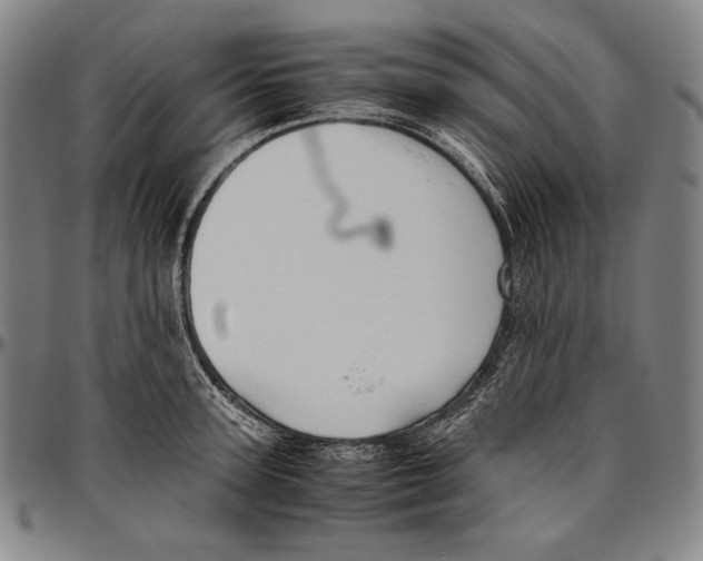 X0000096480947200802211211