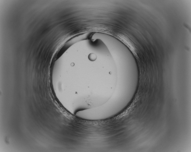 X0000096480948200802211211