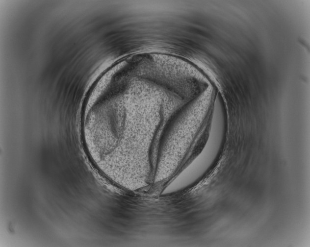 X0000096480949200802211211