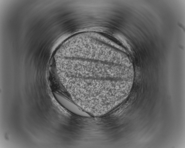 X0000096480952200802211211