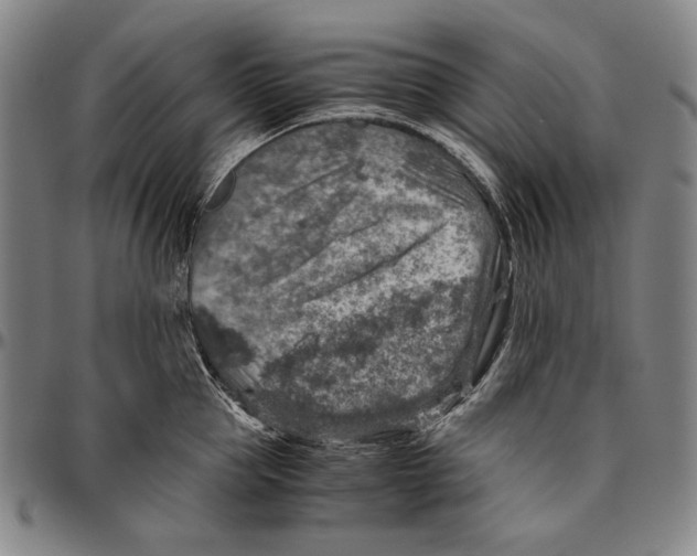 X0000096480953200802211211