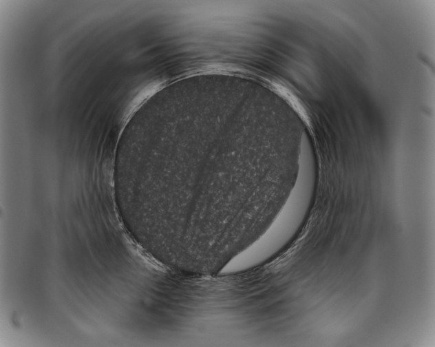 X0000096480954200802211211