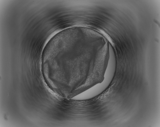 X0000096480955200802211211