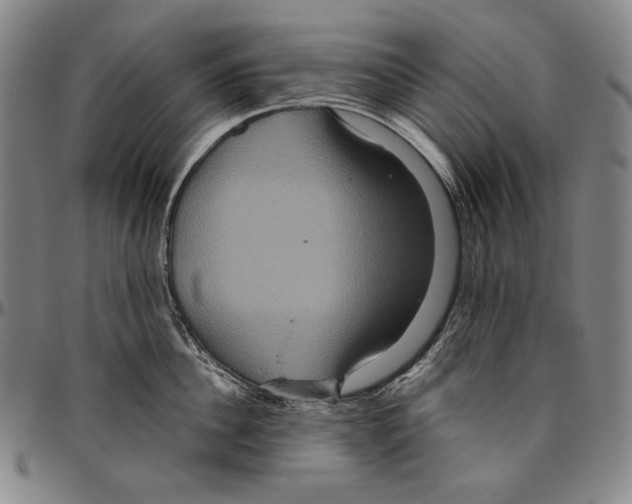 X0000096480956200802211211