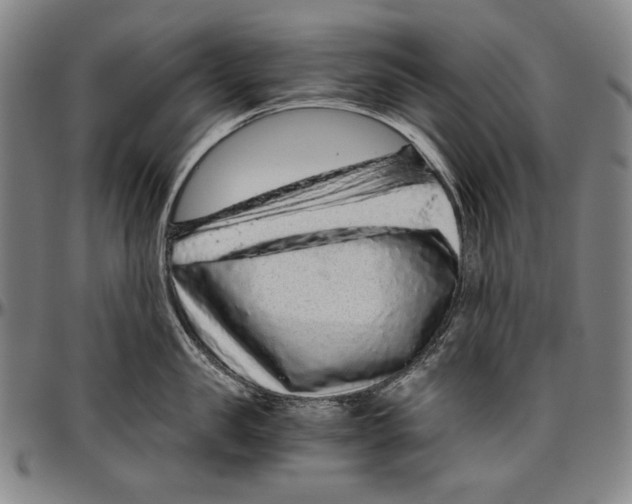 X0000096480957200802211211