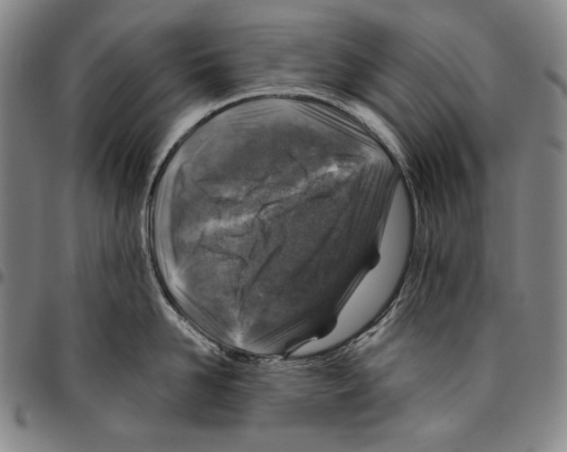 X0000096480958200802211211