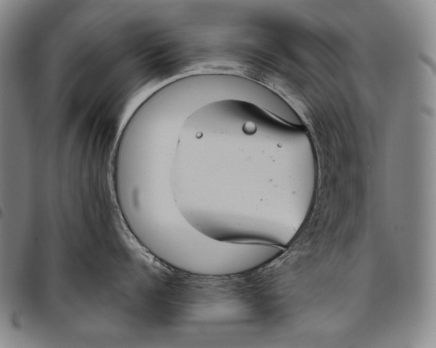 X0000096480960200802211211