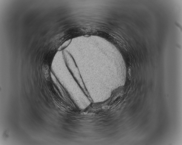 X0000096480963200802211210