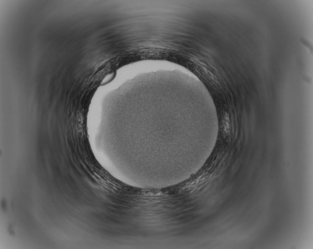 X0000096480964200802211210