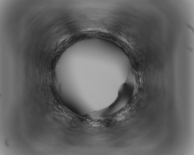 X0000096480965200802211210