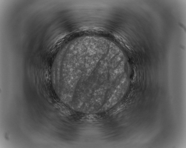 X0000096480966200802211210