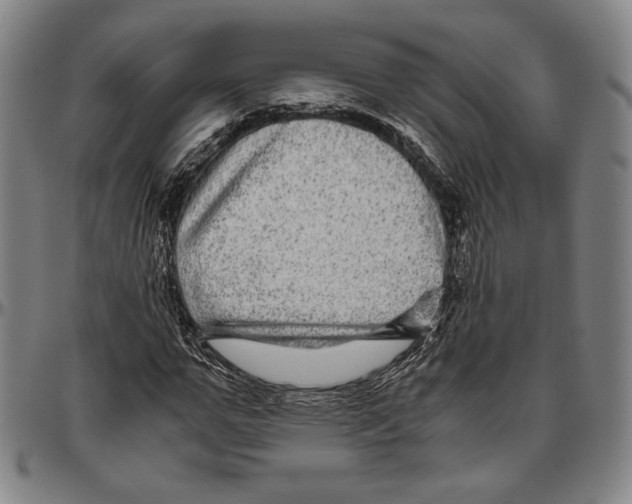 X0000096480967200802211210