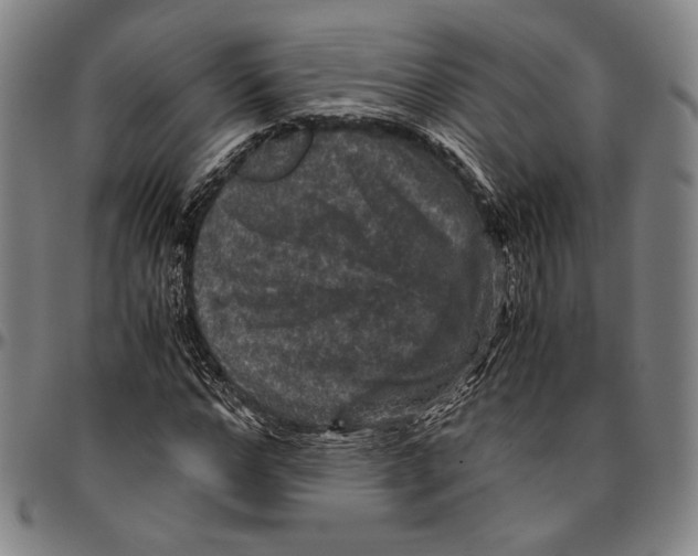 X0000096480968200802211210