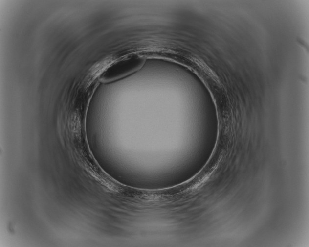 X0000096480969200802211210