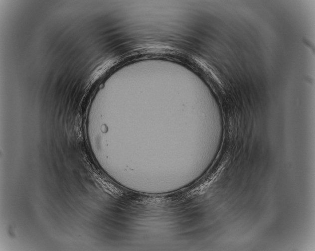 X0000096480970200802211210