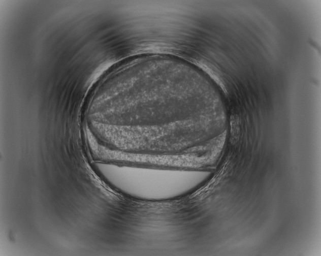 X0000096480972200802211210