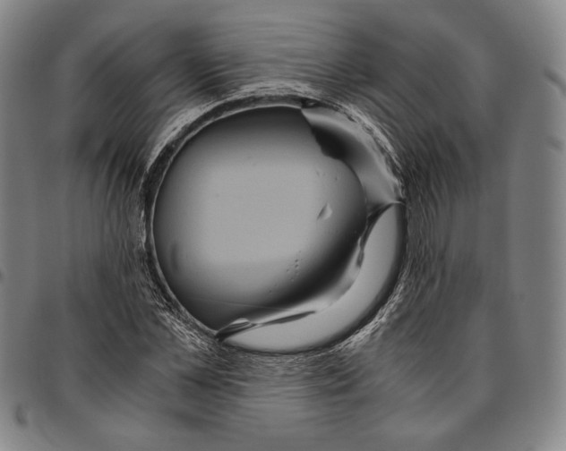X0000096480973200802211210